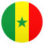 🇸🇳