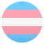 :transgender_flag: 🏳️⚧️