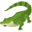 🐊