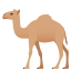 🐪