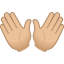 :open_hands_tone2: 👐🏼