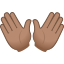 👐🏽