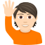:person_raising_hand_tone1: 🙋🏻