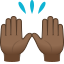 :raised_hands_tone4: 🙌🏾