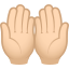 :palms_up_together_tone1: 🤲🏻