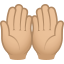 :palms_up_together_tone2: 🤲🏼