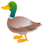 🦆