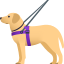 :guide_dog: 🦮