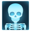 :x_ray: 🩻