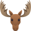 :moose: 🫎